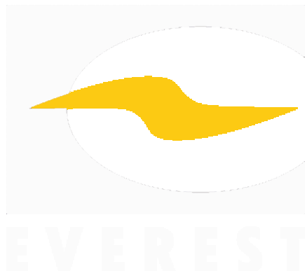 logo everest